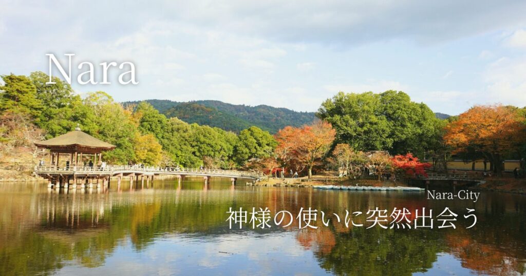 神様の使いに突然出会う