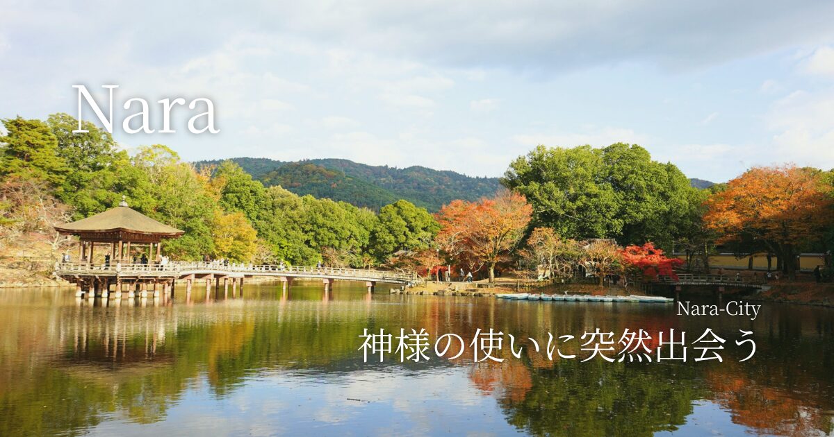 神様の使いに突然出会う